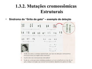 1.3.2. Mutações cromossômicas
Estruturais
• Síndroma do “Grito do gato” – exemplo de deleção
 