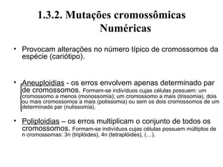 1.3.2. Mutações cromossômicas
Numéricas
• Provocam alterações no número típico de cromossomos da
espécie (cariótipo).
• Aneuploidias - os erros envolvem apenas determinado par
de cromossomos. Formam-se indivíduos cujas células possuem: um
cromossomo a menos (monossomia); um cromossomo a mais (trissomia), dois
ou mais cromossomos a mais (polissomia) ou sem os dois cromossomos de um
determinado par (nulissomia).
• Poliploidias – os erros multiplicam o conjunto de todos os
cromossomos. Formam-se indivíduos cujas células possuem múltiplos de
n cromossomas: 3n (triplóides), 4n (tetraplóides), (…).
 