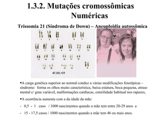 1.3.2. Mutações cromossômicas
Numéricas
Trissomia 21 (Síndroma de Down) – Aneuploidia autossômica
•A carga genética superior ao normal conduz a várias modificações fenotípicas –
síndrome: forma os olhos muito característica, baixa estatura, boca pequena, atraso
mental c/ grau variável, malformações cardíacas, esterilidade habitual nos rapazes,
•A ocorrência aumenta com a da idade da mãe:
- 0,5 - 1 caso / 1000 nascimentos quando a mãe tem entre 20-29 anos a
- 15 - 17,5 casos / 1000 nascimentos quando a mãe tem 46 ou mais anos.
 