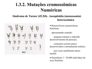 1.3.2. Mutações cromossômicas
Numéricas
Síndroma de Turner (45,X0)– Aneuploidia (monossomia)
heterossómica
• Desenvolvem características
femininas
apresentando contudo:
- pequena estatura e reduzido
desenvolvimento do pescoço;
- caracteres sexuais pouco
desenvolvidos e normalmente estéreis;
- por vezes manifestam atraso
mental.
• Ocorrência: 1 / 10.000 indivíduos do
sexo feminino
 