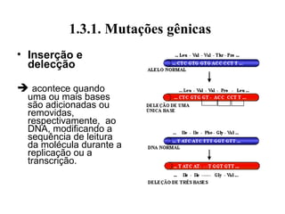 1.3.1. Mutações gênicas
• Inserção e
delecção
 acontece quando
uma ou mais bases
são adicionadas ou
removidas,
respectivamente, ao
DNA, modificando a
sequência de leitura
da molécula durante a
replicação ou a
transcrição.
 