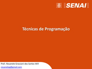 Técnicas de Programação
Prof.: Rosanete Grassiani dos Santos Will
rosaneteg@gmail.com
 