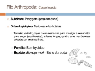 aula-1-taxonomia-e-classificaao-zoologica-dos-animais-domesticos.pptx