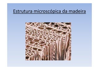 Estrutura microscópica da madeira
 