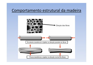 Comportamento estrutural da madeira
 