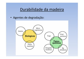 Durabilidade da madeira
• Agentes de degradação:
 