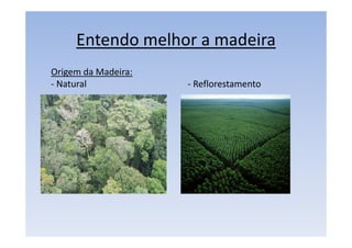 Entendo melhor a madeira
Origem da Madeira:
- Natural - Reflorestamento
 