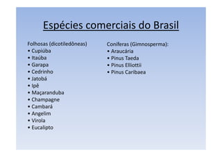 Espécies comerciais do Brasil
Folhosas (dicotiledôneas)
• Cupiúba
• Itaúba
• Garapa
• Cedrinho
• Jatobá
• Ipê
• Maçaranduba
• Champagne
• Cambará
• Angelim
• Virola
• Eucalipto
Coníferas (Gimnosperma):
• Araucária
• Pinus Taeda
• Pinus Elliottii
• Pinus Caribaea
 