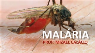 MALÁRIA
PROF: MIZAEL CALÁCIO
 