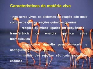 Características da matéria viva
- nos seres vivos os sistemas de reação são mais
complexos que as reações químicas comuns:
- reações químicas ligadas em sequências –
transferência de energia química entre
biomoléculas
- compostos de alto peso molecular e
configuração precisa
- muitas das reações são catalisadas por
enzimas
 