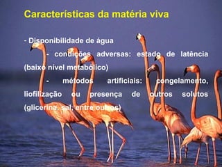 Características da matéria viva
- Disponibilidade de água
- condições adversas: estado de latência
(baixo nível metabólico)
- métodos artificiais: congelamento,
liofilização ou presença de outros solutos
(glicerina, sal, entre outros)
 