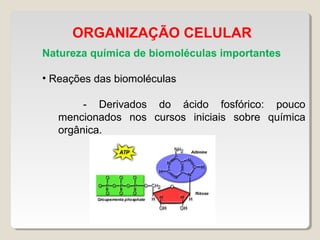 ORGANIZAÇÃO CELULAR
Natureza química de biomoléculas importantes
• Reações das biomoléculas
- Derivados do ácido fosfórico: pouco
mencionados nos cursos iniciais sobre química
orgânica.
 