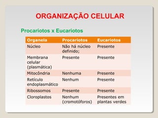 ORGANIZAÇÃO CELULAR
Procariotos x Eucariotos
Organela Procariotos Eucariotos
Núcleo Não há núcleo
definido;
Presente
Membrana
celular
(plasmática)
Presente Presente
Mitocôndria Nenhuma Presente
Retículo
endoplasmático
Nenhum Presente
Ribossomos Presente Presente
Cloroplastos Nenhum
(cromotóforos)
Presentes em
plantas verdes
 
