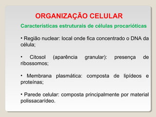 ORGANIZAÇÃO CELULAR
Características estruturais de células procarióticas
• Região nuclear: local onde fica concentrado o DNA da
célula;
• Citosol (aparência granular): presença de
ribossomos;
• Membrana plasmática: composta de lipídeos e
proteínas;
• Parede celular: composta principalmente por material
polissacarídeo.
 