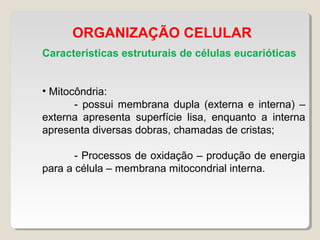 ORGANIZAÇÃO CELULAR
Características estruturais de células eucarióticas
• Mitocôndria:
- possui membrana dupla (externa e interna) –
externa apresenta superfície lisa, enquanto a interna
apresenta diversas dobras, chamadas de cristas;
- Processos de oxidação – produção de energia
para a célula – membrana mitocondrial interna.
 