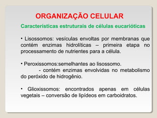 ORGANIZAÇÃO CELULAR
Características estruturais de células eucarióticas
• Lisossomos: vesículas envoltas por membranas que
contém enzimas hidrolíticas – primeira etapa no
processamento de nutrientes para a célula.
• Peroxissomos:semelhantes ao lisossomo.
- contém enzimas envolvidas no metabolismo
do peróxido de hidrogênio.
• Glioxissomos: encontrados apenas em células
vegetais – conversão de lipídeos em carboidratos.
 