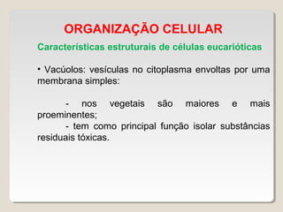 ORGANIZAÇÃO CELULAR
Características estruturais de células eucarióticas
• Vacúolos: vesículas no citoplasma envoltas por uma
membrana simples:
- nos vegetais são maiores e mais
proeminentes;
- tem como principal função isolar substâncias
residuais tóxicas.
 
