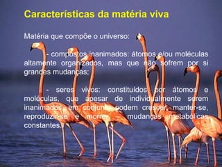 Características da matéria viva
Matéria que compõe o universo:
- compostos inanimados: átomos e/ou moléculas
altamente organizados, mas que não sofrem por si
grandes mudanças;
- seres vivos: constituídos por átomos e
moléculas, que apesar de individualmente serem
inanimados, em conjunto podem crescer, manter-se,
reproduzir-se e morrer – mudanças metabólicas
constantes.
 