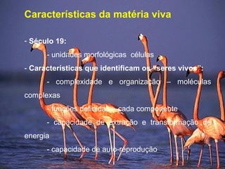 Características da matéria viva
- Século 19:
- unidades morfológicas células
- Características que identificam os “seres vivos”:
- complexidade e organização – moléculas
complexas
- funções definidas – cada componente
- capacidade de extração e transformação de
energia
- capacidade de auto-reprodução
 