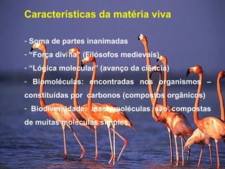 Características da matéria viva
- Soma de partes inanimadas
- “Força divina” (Filósofos medievais)
- “Lógica molecular” (avanço da ciência)
- Biomoléculas: encontradas nos organismos –
constituídas por carbonos (compostos orgânicos)
- Biodiversidade: macromoléculas são compostas
de muitas moléculas simples.
 
