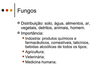 Fungos
 Distribuição: solo, água, alimentos, ar,
vegetais, detritos, animais, homem.
 Importância:
Indústria: produtos químicos e
farmacêuticos, comestíveis, laticínios,
bebidas alcoólicas de todos os tipos;
Agricultura;
Veterinária;
Medicina humana;
 
