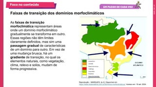 aula-12-dominio-morfoclimaticos-araucarias-pradarias-e-faixas-de ...