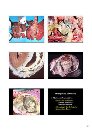 ht©
       ig
    yr
C op




                 Alterações do Endocárdio


         ht©   Alterações Degenerativas

       ig          Fibrose Sub-Endocárdica

    yr                Congênita (Focal/Difusa)


  op
                      Adquirida (Focal/Difusa)


C                  Mineralização Sub-Endocárdica
                   Endocardiose Canina




                                                   7
 