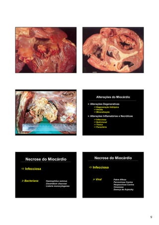 Alterações do Miocárdio



                ht©                   Alterações Degenerativas
                                           Degeneração hidrópica

              ig                           Atrofia


           yr
                                           Mineralização



         op
                                      Alterações Inflamatórias e Necróticas
                                           Infecciosa
       C                                   Nutricional
                                           Tóxica
                                           Parasitária




Necrose do Miocárdio                     Necrose do Miocárdio


Infecciosa                              Infecciosa


                                          Viral            Febre Aftosa
Bacteriana   Haemophilus somnus
                                                           Parvovirose Canina
             Clostridium chauvoei                          Herpesvirose Canina
             Listeria monocytogenes                        Cinomose
                                                           Doença de Aujeszky




                                                                                 9
 