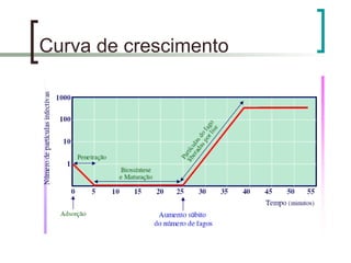 Curva de crescimento
 