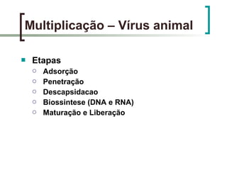  Etapas
 Adsorção
 Penetração
 Descapsidacao
 Biossintese (DNA e RNA)
 Maturação e Liberação
Multiplicação – Vírus animal
 