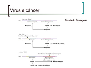 Vírus e câncer
Teoria do Oncogene
 