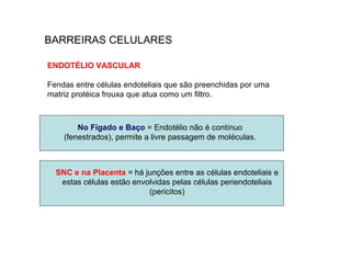 BARREIRAS CELULARES
ENDOTÉLIO VASCULAR
Fendas entre células endoteliais que são preenchidas por uma
matriz protéica frouxa que atua como um filtro.
SNC e na Placenta = há junções entre as células endoteliais e
estas células estão envolvidas pelas células periendoteliais
(pericitos)
No Fígado e Baço = Endotélio não é contínuo
(fenestrados), permite a livre passagem de moléculas.
 