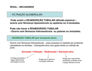 RENAL – MECANISMOS
FILTRAÇÃO GLOMERULAR:
Pode existir a REABSORÇÃO TUBULAR (difusão passiva) –
ocorre com fármacos lipossolúveis ou apolares ou ñ-ionizados.
Pode não haver a REABSORSÃO TUBULAR
- Ocorre com fármacos hidrossolúveis ou polares ou ionizados.
SECREÇÃO TUBULAR (por transporte ativo).
Ocorre com fármacos hidrossolúveis – esse processo é mediado por proteínas
carreadores ou bombas – (transporte ativo com gasto direto ou indireto de
ATP)
A droga que passa e
segue diluída para
eliminação na urina
Excreção = Filtração – Reabsorção + Secreção ativa
Droga que é retorna a
circulação sistêmica
Droga que é ativamente
secretada no filtrado renal
e segue diluída na urina
 