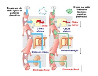 Drogas que não
estão ligadas ás
proteínas
plasmáticas
Drogas que estão
fortemente
ligadas ás
proteínas
plasmáticas
Célula
efetora
efeito
Efeito
menor
Célula
efetora
Biotransformação
Biotransformação
Eliminação Renal Eliminação Renal
 
