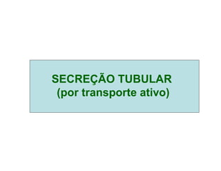 SECREÇÃO TUBULAR
(por transporte ativo)
 