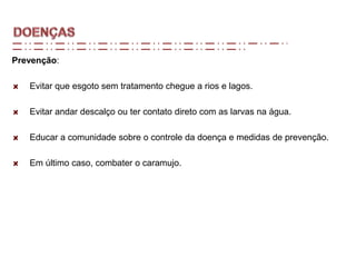 Prevenção:
Evitar que esgoto sem tratamento chegue a rios e lagos.
Evitar andar descalço ou ter contato direto com as larvas na água.
Educar a comunidade sobre o controle da doença e medidas de prevenção.
Em último caso, combater o caramujo.
 