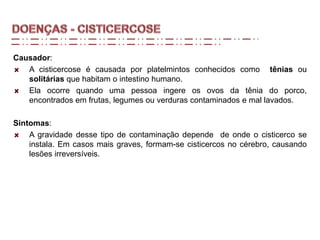 Causador:
A cisticercose é causada por platelmintos conhecidos como tênias ou
solitárias que habitam o intestino humano.
Ela ocorre quando uma pessoa ingere os ovos da tênia do porco,
encontrados em frutas, legumes ou verduras contaminados e mal lavados.
Sintomas:
A gravidade desse tipo de contaminação depende de onde o cisticerco se
instala. Em casos mais graves, formam-se cisticercos no cérebro, causando
lesões irreversíveis.
 