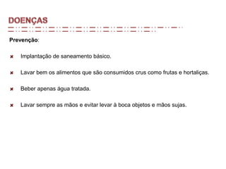 Prevenção:
Implantação de saneamento básico.
Lavar bem os alimentos que são consumidos crus como frutas e hortaliças.
Beber apenas água tratada.
Lavar sempre as mãos e evitar levar à boca objetos e mãos sujas.
 