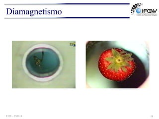 Diamagnetismo
F328 – 1S2014 18
 