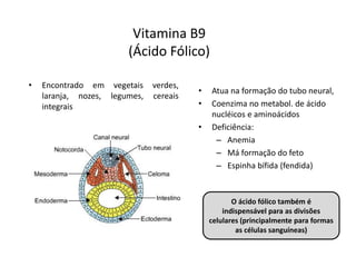 Vitamina B9
(Ácido Fólico)
• Encontrado em vegetais verdes,
laranja, nozes, legumes, cereais
integrais
• Atua na formação do tubo neural,
• Coenzima no metabol. de ácido
nucléicos e aminoácidos
• Deficiência:
– Anemia
– Má formação do feto
– Espinha bífida (fendida)
O ácido fólico também é
indispensável para as divisões
celulares (principalmente para formas
as células sanguíneas)
 