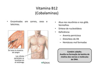 Vitamina B12
(Cobalaminas)
• Encontradas em carnes, ovos e
laticínios.
• Atua nos neurônios e nos glób.
Vermelhos
• Síntese de nucleotídeos
• Deficiência:
– Anemia perniciosa
– Distúrbios do SN
– Hemáceas mal formadas
Contém cobalto.
Auxilia na formação da bainha de
mielina dos nervos e moléculas
de DNA.
 