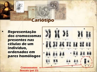 Cariótipo 
• Representação 
dos cromossomas 
presentes nas 
células de um 
indivíduo, 
ordenados em 
pares homólogos 
Cromossomas 
Sexuais (par 23) 
 