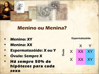 Menino ou Menina? 
• Menino: XY 
• Menina: XX 
• Espermatozóide: X ou Y 
• Óvulo: Sempre X 
• Há sempre 50% de 
hipóteses para cada 
sexo 
Espermatozóide 
X Y 
X XX XY 
X XX XY 
Óvulo 
 