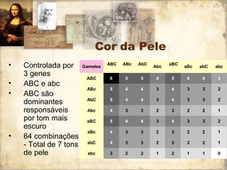 Cor da Pele 
• Controlada por 
3 genes 
• ABC e abc 
• ABC são 
dominantes 
responsáveis 
por tom mais 
escuro 
• 64 combinações 
- Total de 7 tons 
de pele 
Gametes ABC 
ABc 
AbC 
Abc aBC 
aBc abC abc 
ABC 6 5 5 4 5 4 4 3 
ABc 5 4 4 3 4 3 3 2 
AbC 5 4 4 3 4 3 3 2 
Abc 4 3 3 2 3 2 2 1 
aBC 5 4 4 3 4 3 3 2 
aBc 4 3 3 2 3 2 2 1 
abC 4 3 3 2 3 2 2 1 
abc 3 2 2 1 2 1 1 0 
