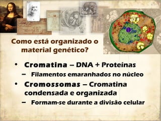 Como está organizado o 
material genético? 
• Cromatina – DNA + Proteínas 
– Filamentos emaranhados no núcleo 
• Cromossomas – Cromatina 
condensada e organizada 
– Formam-se durante a divisão celular 
 