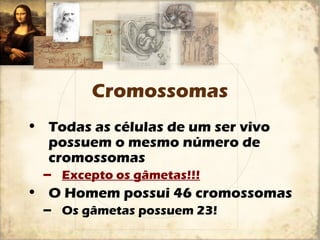 Cromossomas 
• Todas as células de um ser vivo 
possuem o mesmo número de 
cromossomas 
– Excepto os gâmetas!!! 
• O Homem possui 46 cromossomas 
– Os gâmetas possuem 23! 
 