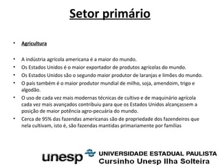 Setor primário
• Agricultura
• A indústria agrícola americana é a maior do mundo.
• Os Estados Unidos é o maior exportador de produtos agrícolas do mundo.
• Os Estados Unidos são o segundo maior produtor de laranjas e limões do mundo.
• O país também é o maior produtor mundial de milho, soja, amendoim, trigo e
algodão.
• O uso de cada vez mais modernas técnicas de cultivo e de maquinário agrícola
cada vez mais avançados contribuiu para que os Estados Unidos alcançassem a
posição de maior potência agro-pecuária do mundo.
• Cerca de 95% das fazendas americanas são de propriedade dos fazendeiros que
nela cultivam, isto é, são fazendas mantidas primariamente por famílias
 
