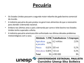 Pecuária
• Os Estados Unidos possuem o segundo maior rebanho de gado bovino comercial
do mundo.
• A indústria pecuária do país produz no geral mais alimentos do que o necessário
para atender à demanda nacional.
• Embora nos últimos anos o país a demanda por carne e leite bovino nos Estados
Unidos tenha superado a oferta.
• A indústria pecuária americana têm enfrentado nas últimas décadas problemas
meteorológicos com a seca.
 