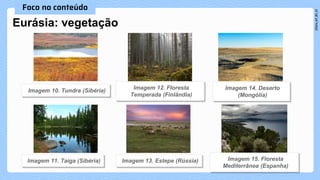 Eurásia: vegetação
 