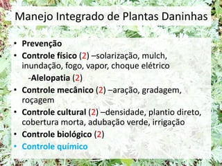 Manejo Integrado de Plantas Daninhas
• Prevenção
• Controle físico (2) –solarização, mulch,
inundação, fogo, vapor, choque elétrico
-Alelopatia (2)
• Controle mecânico (2) –aração, gradagem,
roçagem
• Controle cultural (2) –densidade, plantio direto,
cobertura morta, adubação verde, irrigação
• Controle biológico (2)
• Controle químico
 
